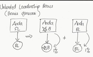 bonus leadership 1