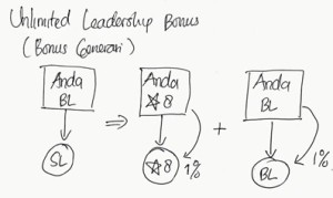 bonus leadership 2